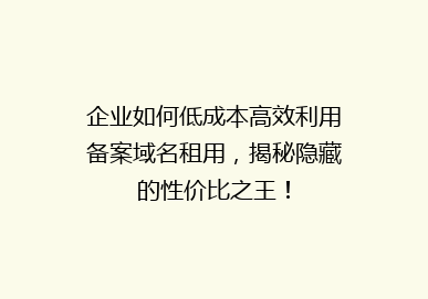 企业如何低成本高效利用备案域名租用，揭秘隐藏的性价比之王！