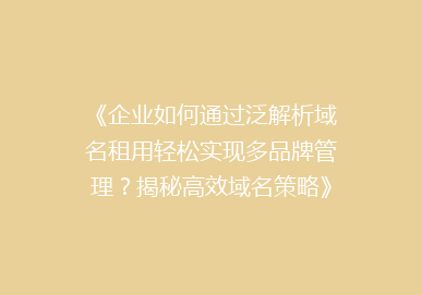 《企业如何通过泛解析域名租用轻松实现多品牌管理？揭秘高效域名策略》
