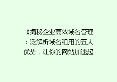 《揭秘企业高效域名管理：泛解析域名租用的五大优势，让你的网站加速起飞！》