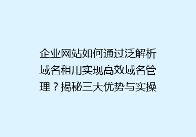 企业网站如何通过泛解析域名租用实现高效域名管理？揭秘三大优势与实操步骤！