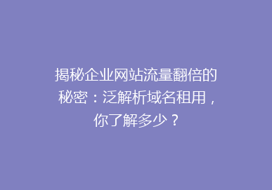 揭秘企业网站流量翻倍的秘密：泛解析域名租用，你了解多少？