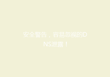 安全警告，容易忽视的DNS泄露！