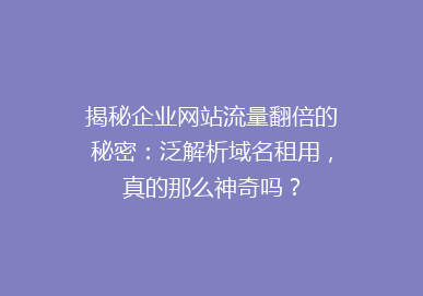 揭秘企业网站流量翻倍的秘密：泛解析域名租用，真的那么神奇吗？