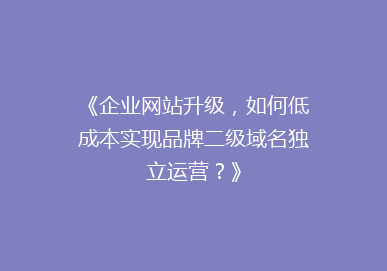 《企业网站升级，如何低成本实现品牌二级域名独立运营？》