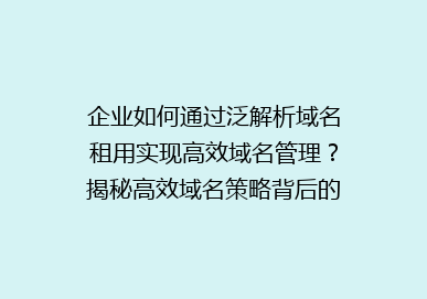 企业如何通过泛解析域名租用实现高效域名管理？揭秘高效域名策略背后的秘密！