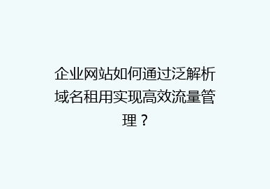 企业网站如何通过泛解析域名租用实现高效流量管理？