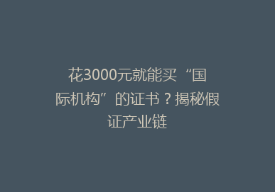 花3000元就能买“国际机构”的证书？揭秘假证产业链