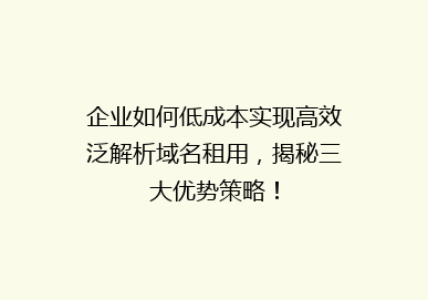 企业如何低成本实现高效泛解析域名租用，揭秘三大优势策略！