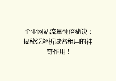 企业网站流量翻倍秘诀：揭秘泛解析域名租用的神奇作用！