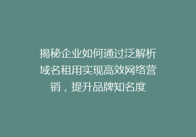 揭秘企业如何通过泛解析域名租用实现高效网络营销，提升品牌知名度