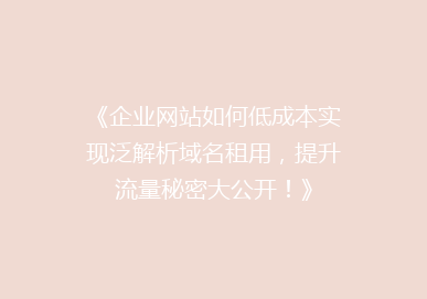 《企业网站如何低成本实现泛解析域名租用，提升流量秘密大公开！》