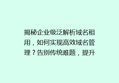 揭秘企业级泛解析域名租用，如何实现高效域名管理？告别传统难题，提升网络效率！