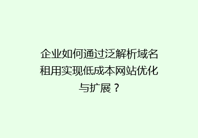 企业如何通过泛解析域名租用实现低成本网站优化与扩展？