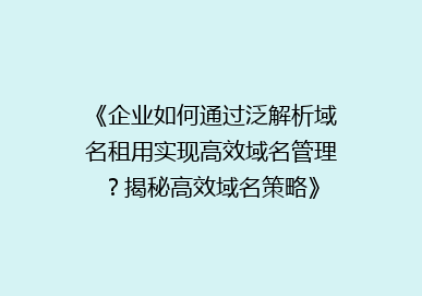 《企业如何通过泛解析域名租用实现高效域名管理？揭秘高效域名策略》
