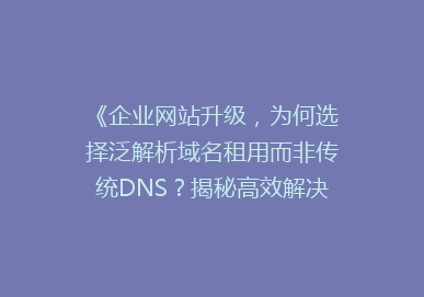 《企业网站升级，为何选择泛解析域名租用而非传统DNS？揭秘高效解决方案》