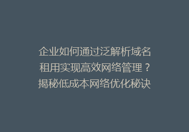 企业如何通过泛解析域名租用实现高效网络管理？揭秘低成本网络优化秘诀！