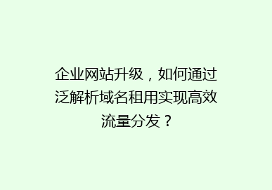 企业网站升级，如何通过泛解析域名租用实现高效流量分发？