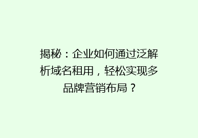揭秘：企业如何通过泛解析域名租用，轻松实现多品牌营销布局？