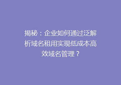 揭秘：企业如何通过泛解析域名租用实现低成本高效域名管理？