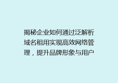 揭秘企业如何通过泛解析域名租用实现高效网络管理，提升品牌形象与用户信任度