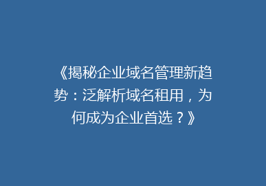 《揭秘企业域名管理新趋势：泛解析域名租用，为何成为企业首选？》