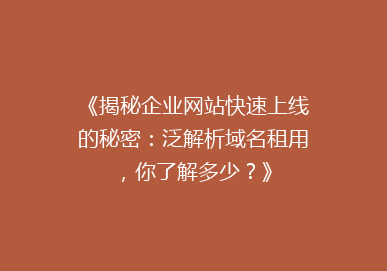 《揭秘企业网站快速上线的秘密：泛解析域名租用，你了解多少？》
