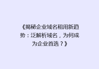 《揭秘企业域名租用新趋势：泛解析域名，为何成为企业首选？》