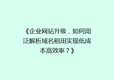 《企业网站升级，如何用泛解析域名租用实现低成本高效率？》