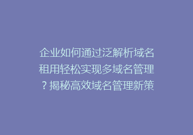 企业如何通过泛解析域名租用轻松实现多域名管理？揭秘高效域名管理新策略！