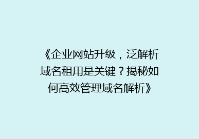 《企业网站升级，泛解析域名租用是关键？揭秘如何高效管理域名解析》