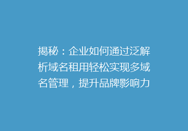 揭秘：企业如何通过泛解析域名租用轻松实现多域名管理，提升品牌影响力？