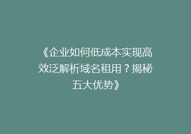 《企业如何低成本实现高效泛解析域名租用？揭秘五大优势》