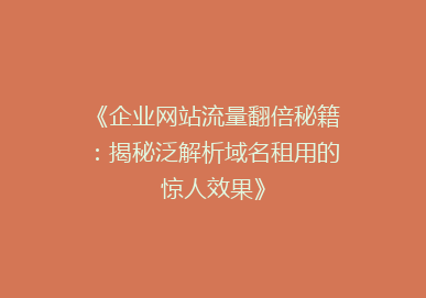 《企业网站流量翻倍秘籍：揭秘泛解析域名租用的惊人效果》