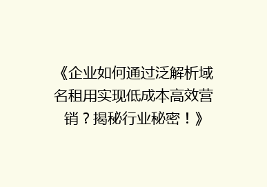 《企业如何通过泛解析域名租用实现低成本高效营销？揭秘行业秘密！》