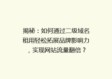 揭秘：如何通过二级域名租用轻松拓展品牌影响力，实现网站流量翻倍？