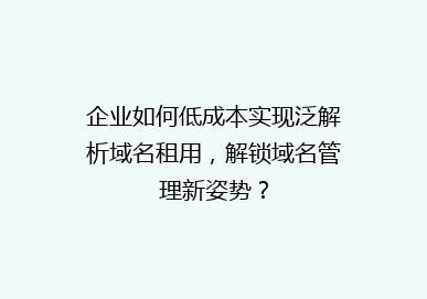 企业如何低成本实现泛解析域名租用，解锁域名管理新姿势？
