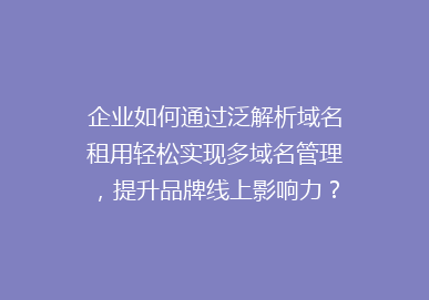 企业如何通过泛解析域名租用轻松实现多域名管理，提升品牌线上影响力？