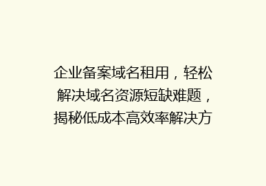 企业备案域名租用，轻松解决域名资源短缺难题，揭秘低成本高效率解决方案！