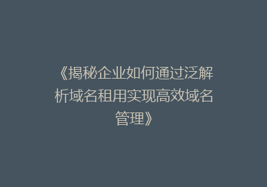 《揭秘企业如何通过泛解析域名租用实现高效域名管理》