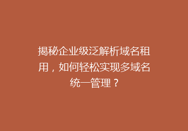 揭秘企业级泛解析域名租用，如何轻松实现多域名统一管理？