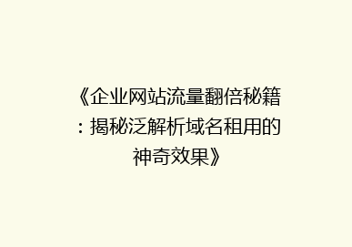 《企业网站流量翻倍秘籍：揭秘泛解析域名租用的神奇效果》