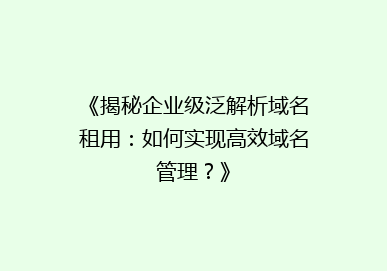 《揭秘企业级泛解析域名租用：如何实现高效域名管理？》