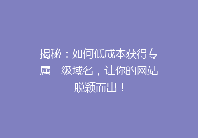 揭秘：如何低成本获得专属二级域名，让你的网站脱颖而出！