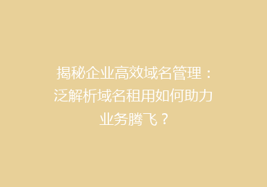 揭秘企业高效域名管理：泛解析域名租用如何助力业务腾飞？
