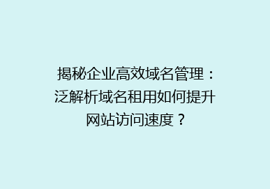 揭秘企业高效域名管理：泛解析域名租用如何提升网站访问速度？