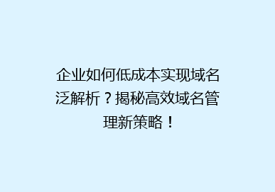 企业如何低成本实现域名泛解析？揭秘高效域名管理新策略！