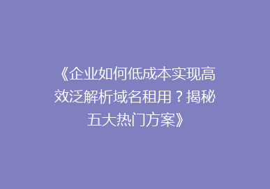 《企业如何低成本实现高效泛解析域名租用？揭秘五大热门方案》