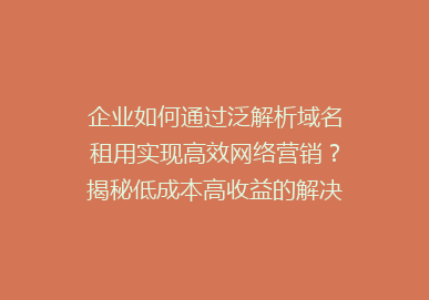 企业如何通过泛解析域名租用实现高效网络营销？揭秘低成本高收益的解决方案！