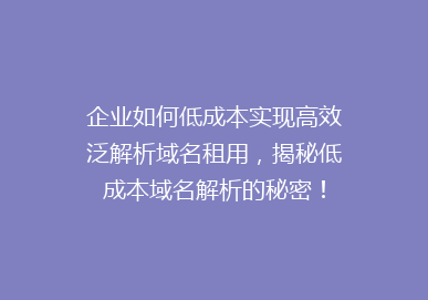 企业如何低成本实现高效泛解析域名租用，揭秘低成本域名解析的秘密！