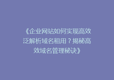 《企业网站如何实现高效泛解析域名租用？揭秘高效域名管理秘诀》